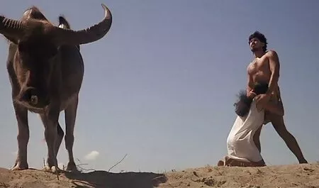 سبزه سوخته در هر دو سوراخ به مرد روحانی عکس متحرک سکسی خارجی تسلیم شد