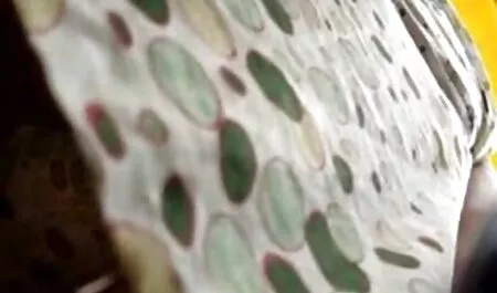 زن سیاه و عکس سکسی لوتی نت سفید